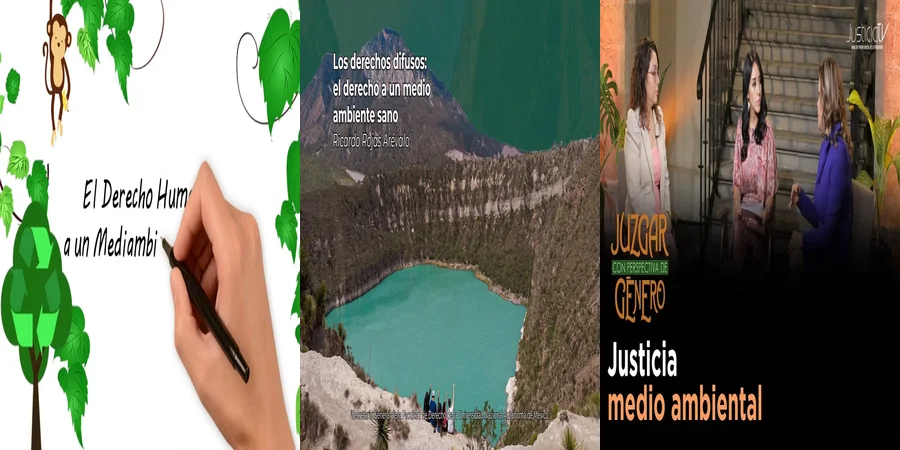 "¿Qué Implica el Derecho a un Ambiente Sano en México?"