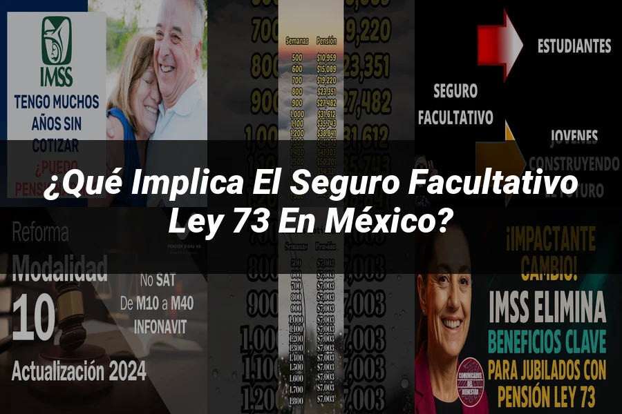 "¿Qué Implica el Seguro Facultativo Ley 73 en México?"