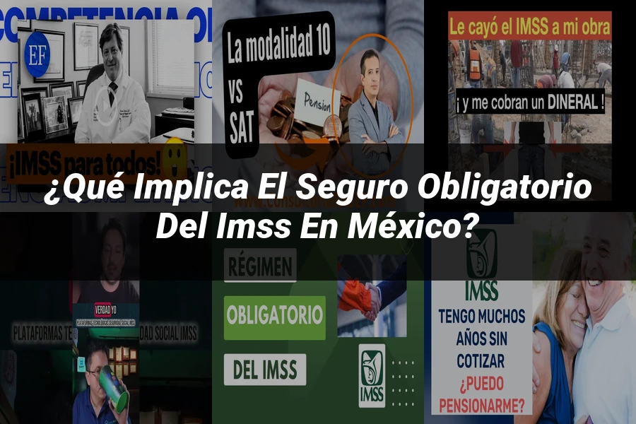 "¿Qué Implica el Seguro Obligatorio del IMSS en México?"