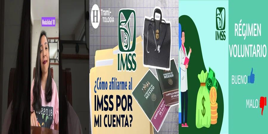 "¿Qué Implica el Seguro Obligatorio del IMSS en México?"
