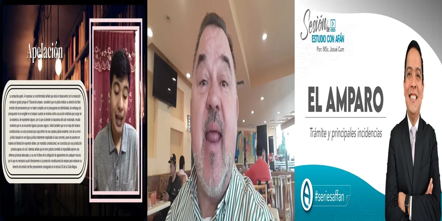 "¿Qué Implica la Apelación de Amparo en el Sistema Legal Mexicano?"