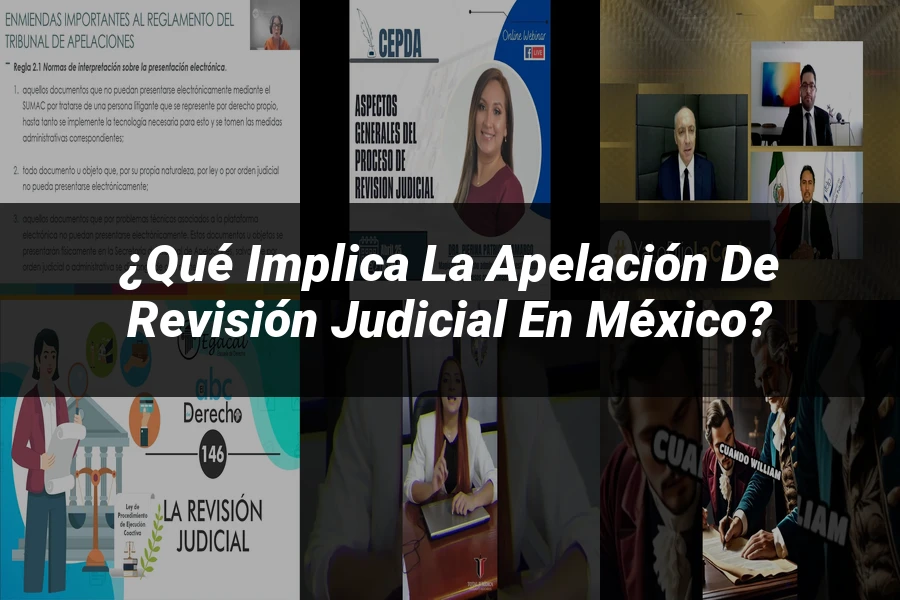 "¿Qué Implica la Apelación de Revisión Judicial en México?"