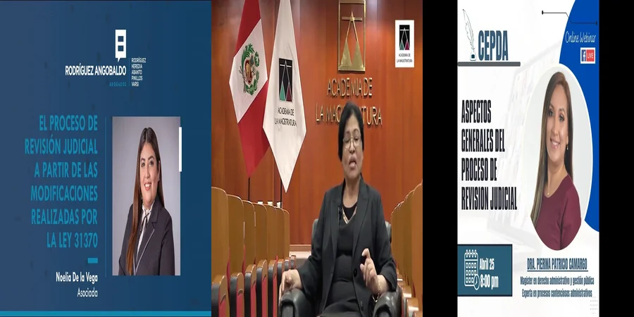 "¿Qué Implica la Apelación de Revisión Judicial en México?"