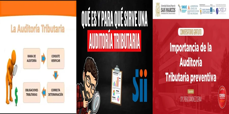 "¿Qué Implica la Auditoría Tributaria en el Marco Legal de México?"