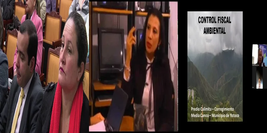"¿Qué Implica la Fiscal Ambiental en el Contexto Legal Mexicano?"