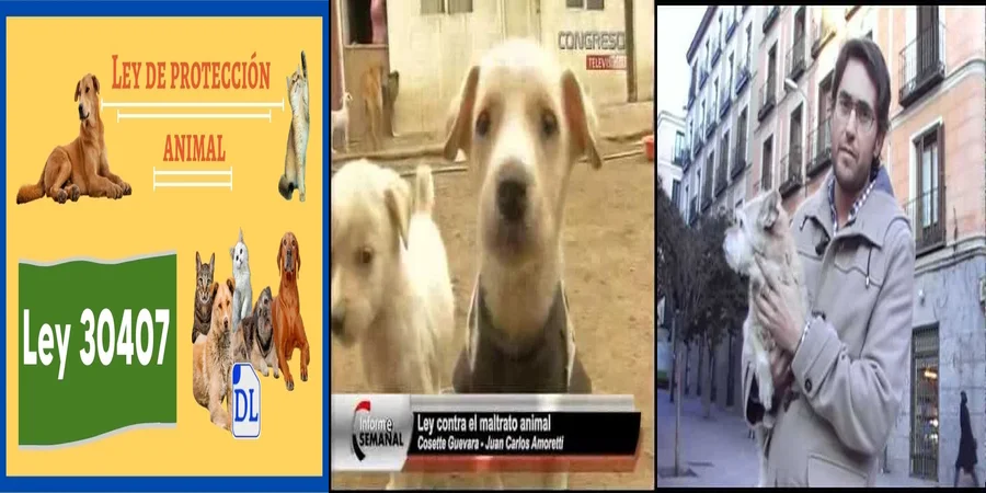 "¿Qué Implica la Ley Nacional de Maltrato Animal en México?"