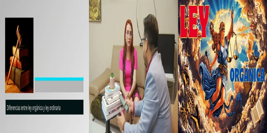 "¿Qué Implica la Ley Orgánica en el Contexto Legal Mexicano?"