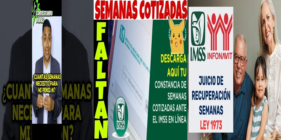 "¿Qué Implica la Ley de 73 Semanas Cotizadas en México?"