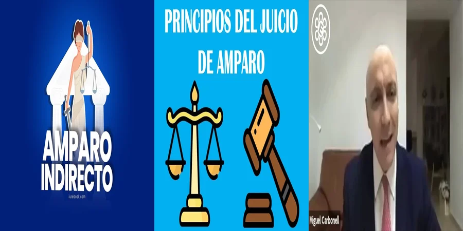 "¿Qué Implica la Ley de Amparo en el Contexto Mexicano?"