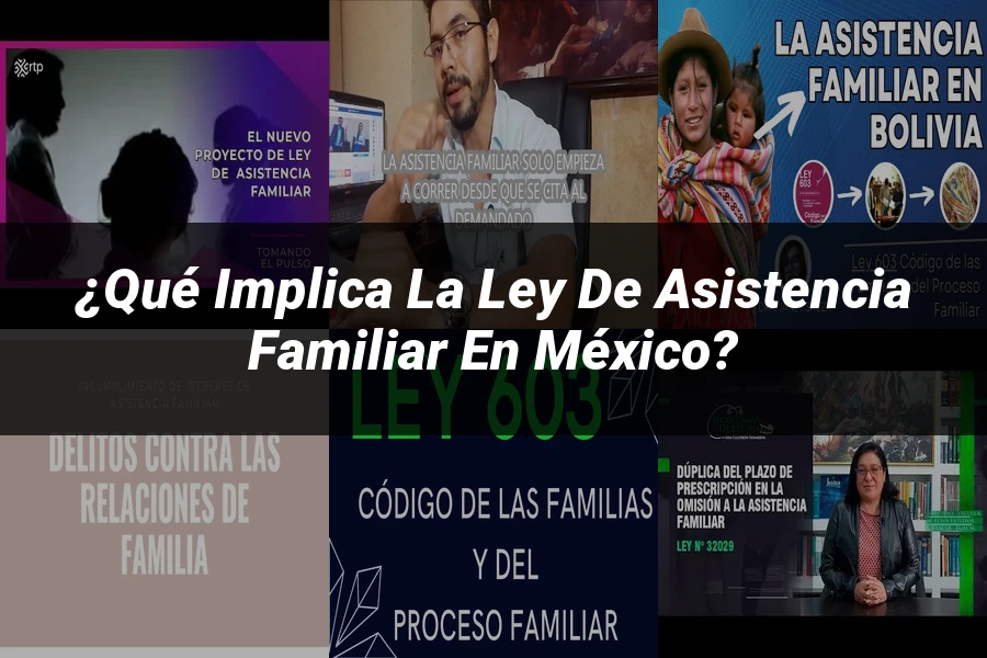 "¿Qué Implica la Ley de Asistencia Familiar en México?"