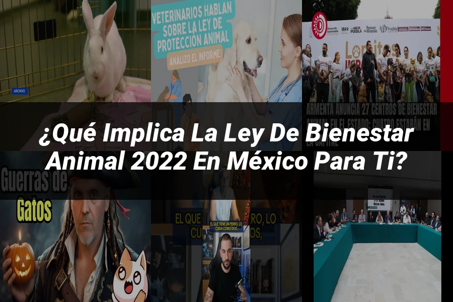"¿Qué Implica la Ley de Bienestar Animal 2022 en México para Ti?"