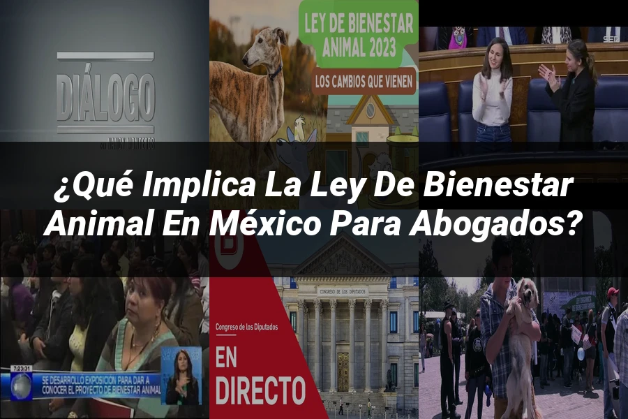 "¿Qué Implica la Ley de Bienestar Animal en México para Abogados?"