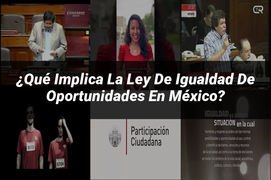 "¿Qué Implica la Ley de Igualdad de Oportunidades en México?"