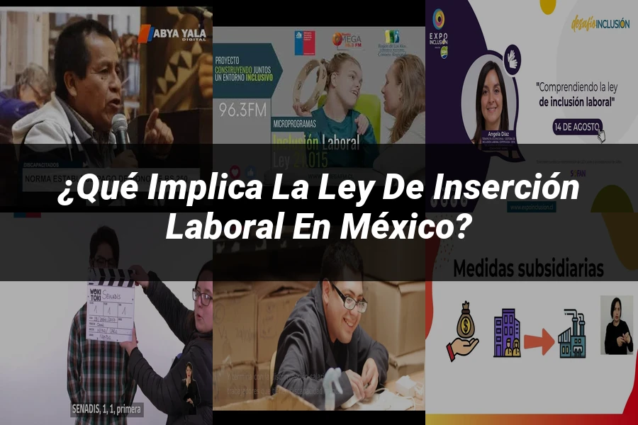 "¿Qué Implica la Ley de Inserción Laboral en México?"