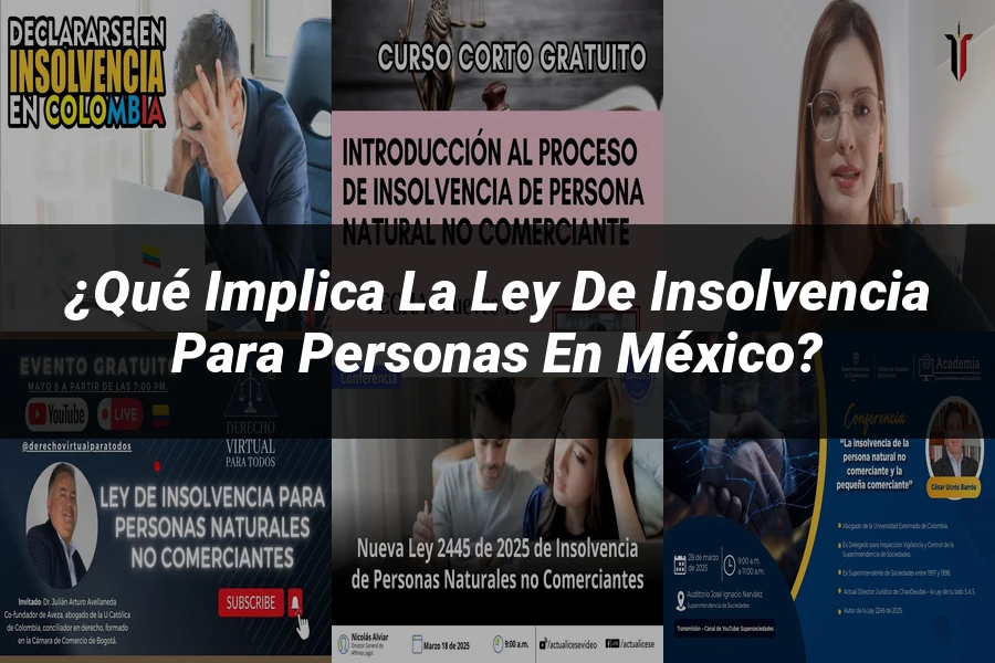 "¿Qué Implica la Ley de Insolvencia para Personas en México?"
