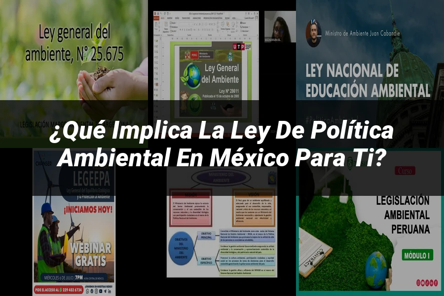 "¿Qué Implica la Ley de Política Ambiental en México para Ti?"