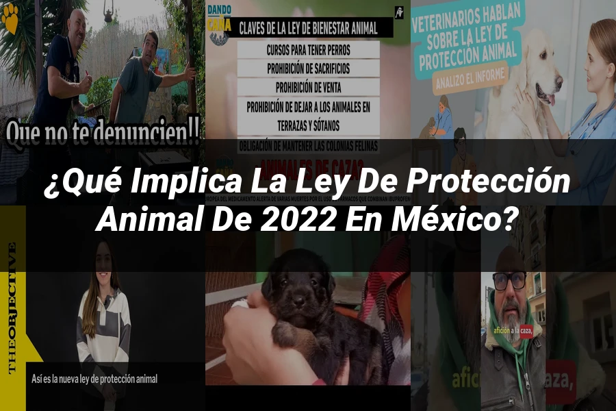 "¿Qué Implica la Ley de Protección Animal de 2022 en México?"