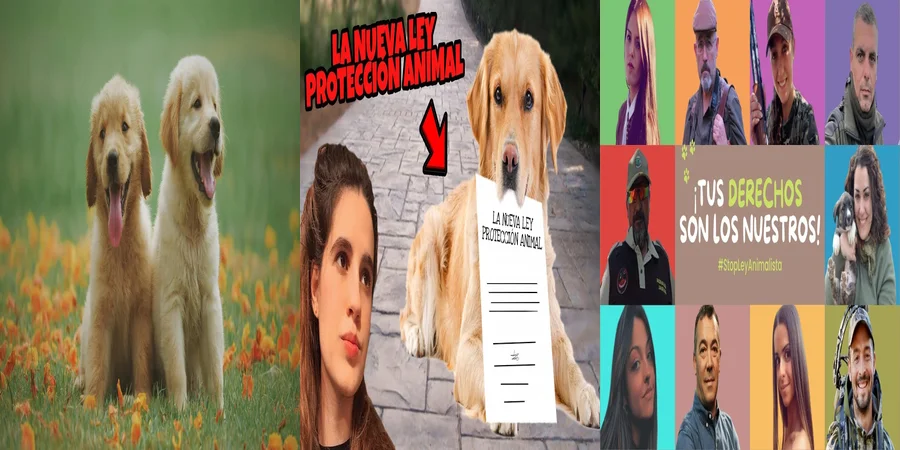 "¿Qué Implica la Ley de Protección Animal de 2022 en México?"