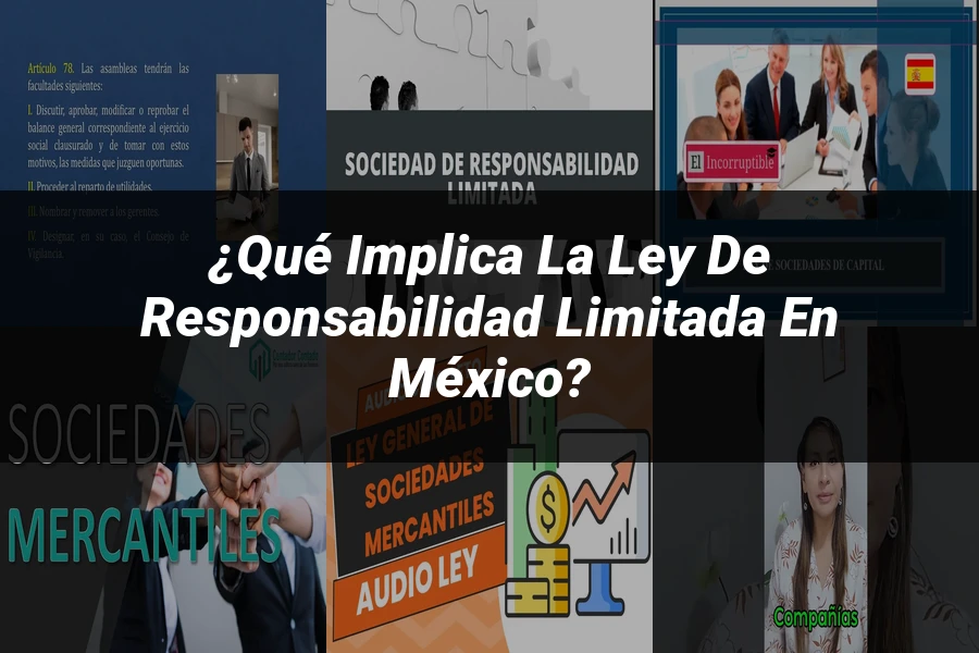 "¿Qué Implica la Ley de Responsabilidad Limitada en México?"