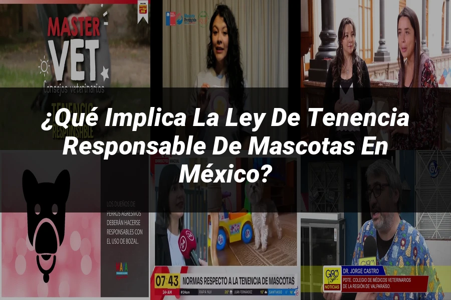 "¿Qué Implica la Ley de Tenencia Responsable de Mascotas en México?"