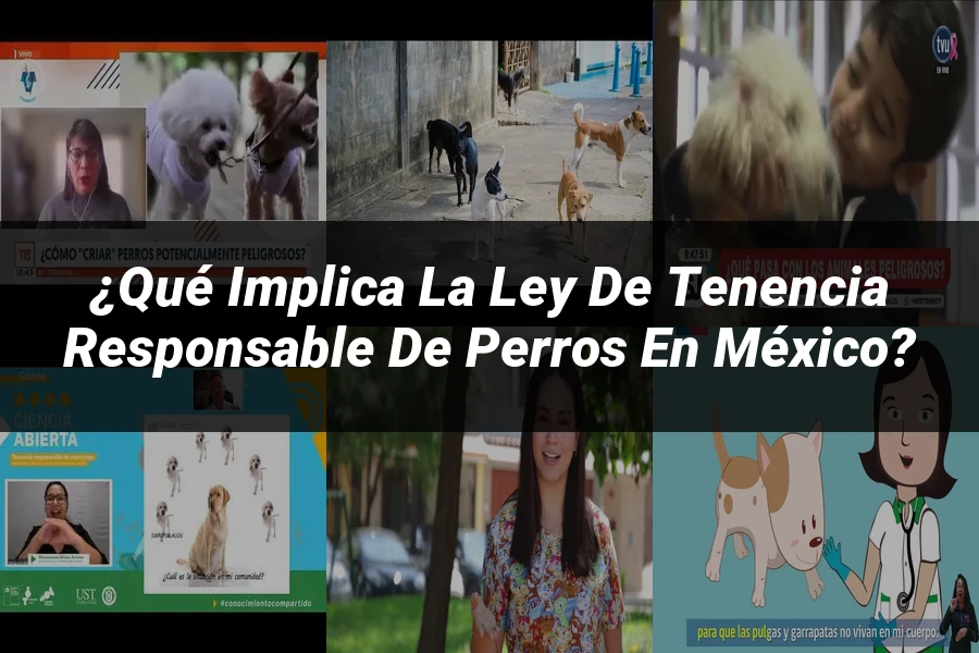 "¿Qué Implica la Ley de Tenencia Responsable de Perros en México?"