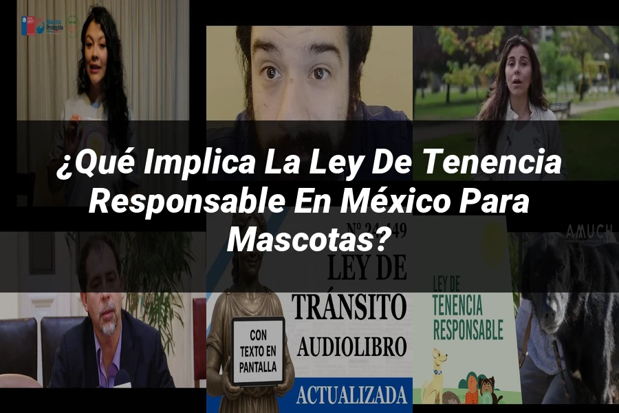 "¿Qué Implica la Ley de Tenencia Responsable en México para Mascotas?"