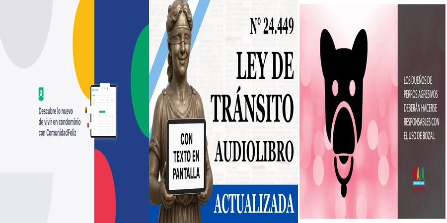 "¿Qué Implica la Ley de Tenencia Responsable en México para Mascotas?"