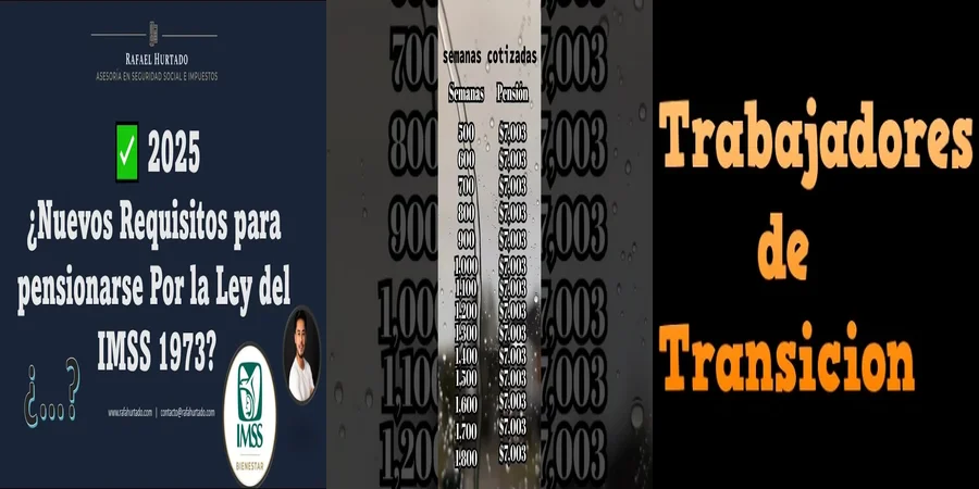 "¿Qué Implica la Ley de Transición del IMSS para tus Derechos?"