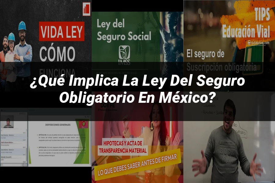 "¿Qué Implica la Ley del Seguro Obligatorio en México?"