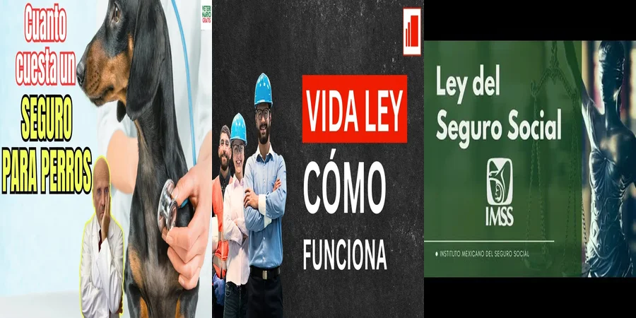 "¿Qué Implica la Ley del Seguro Obligatorio en México?"