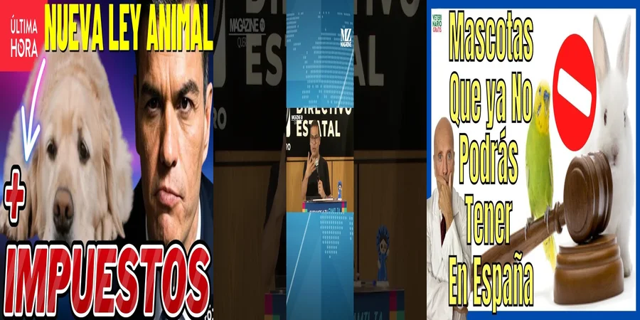 "¿Qué Implica la Nueva Ley Animal en México para tus Mascotas?"