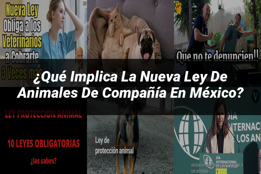 "¿Qué Implica la Nueva Ley de Animales de Compañía en México?"