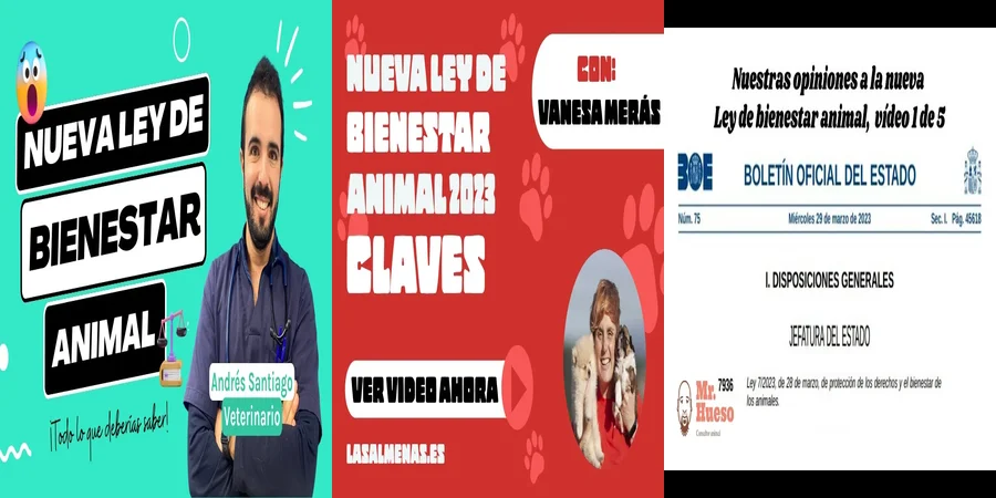 "¿Qué Implica la Nueva Ley de Bienestar Animal en México?"