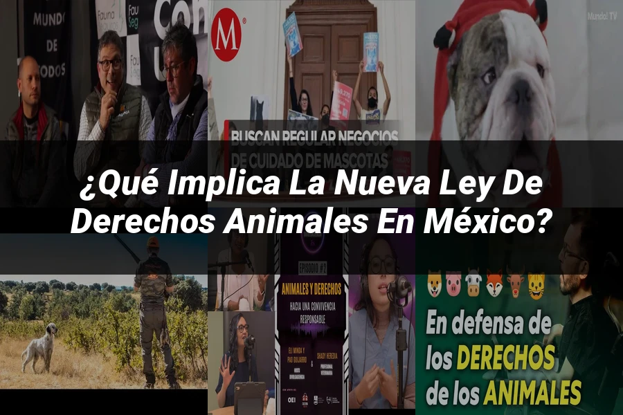 "¿Qué Implica la Nueva Ley de Derechos Animales en México?"