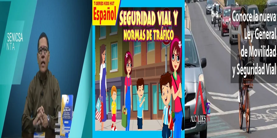 "¿Qué Implica la Nueva Ley de Educación Vial en México?"