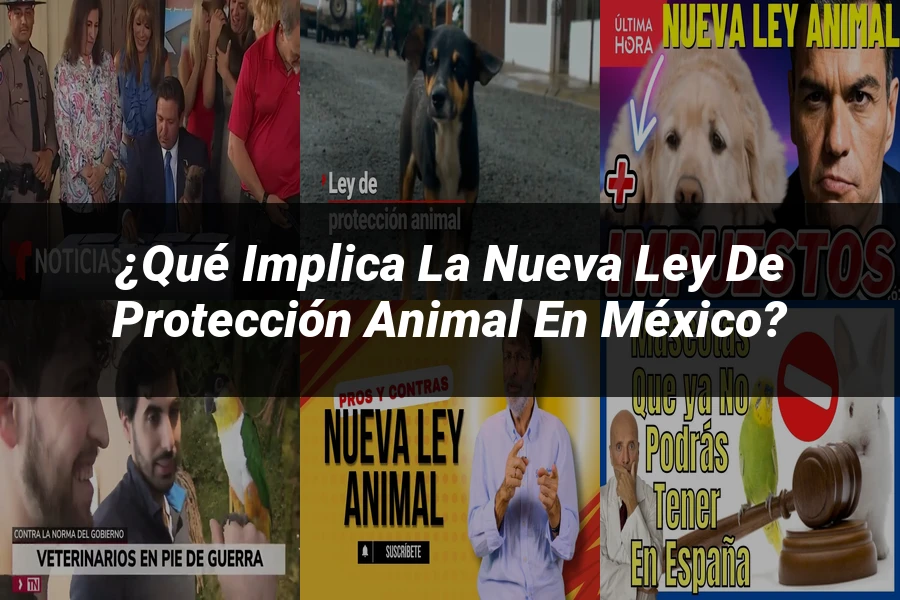 "¿Qué Implica la Nueva Ley de Protección Animal en México?"