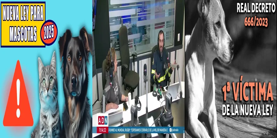 "¿Qué Implica la Nueva Ley de Protección Animal en México?"