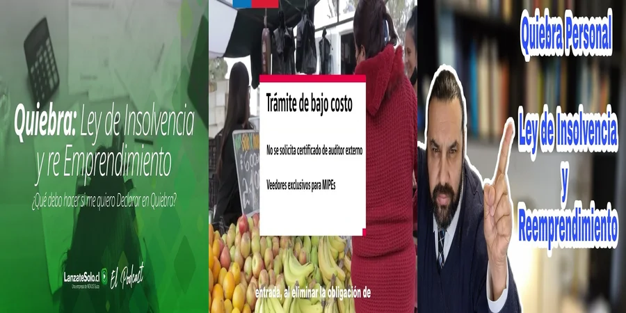 "¿Qué Implica la Nueva Ley de Reemprendimiento en México?"