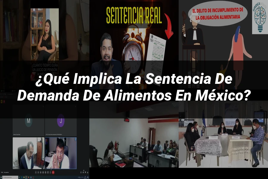 "¿Qué Implica la Sentencia de Demanda de Alimentos en México?"