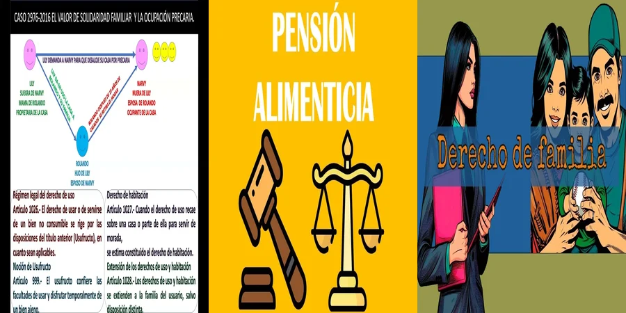 "¿Qué Implica la Solidaridad Familiar en el Derecho Mexicano?"
