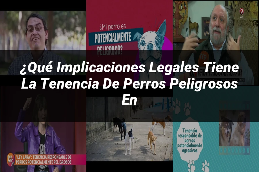 "¿Qué Implicaciones Legales Tiene la Tenencia de Perros Peligrosos en