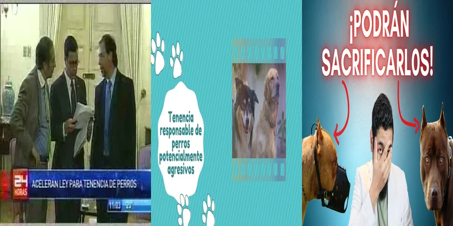 "¿Qué Implicaciones Legales Tiene la Tenencia de Perros Peligrosos en