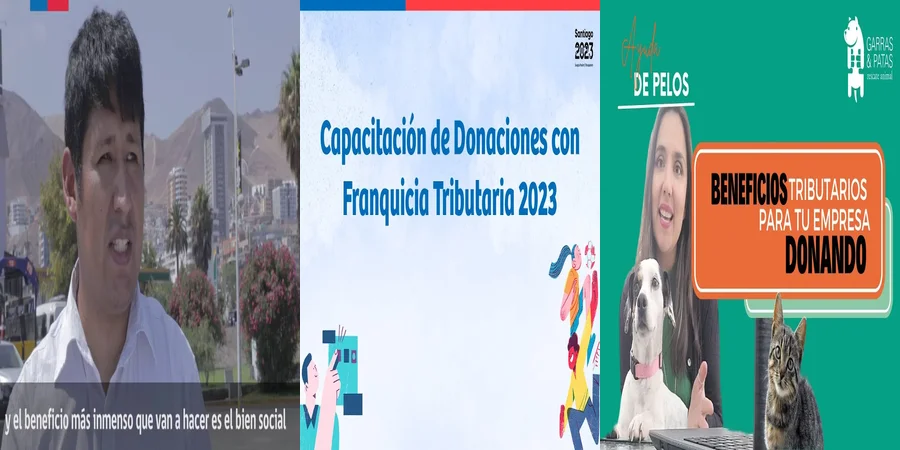 "¿Qué Implicaciones Legales Tienen las Donaciones Empresariales en México?"