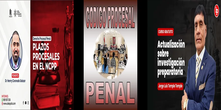 "¿Qué Implicaciones Tiene el 239 del Código Procesal Penal en México?"