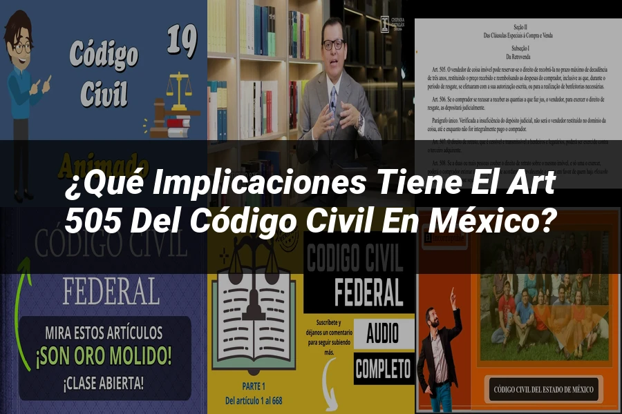 "¿Qué Implicaciones Tiene el Art 505 del Código Civil en México?"
