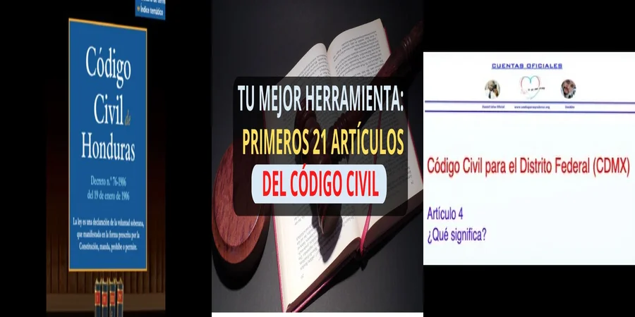 "¿Qué Implicaciones Tiene el Art. 4 del Código Civil en México?"