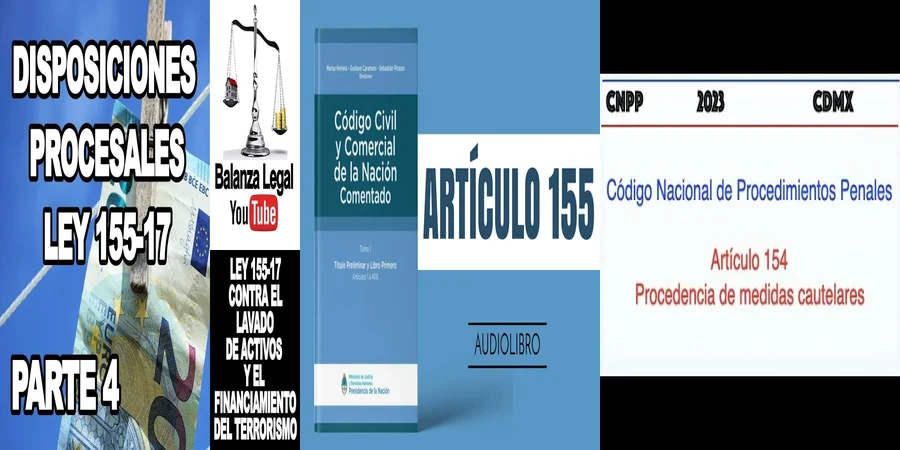 "¿Qué Implicaciones Tiene el Artículo 155 del Código Penal en México?"