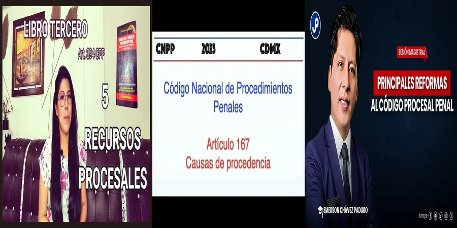 "¿Qué Implicaciones Tiene el Artículo 167 del Código Penal en México?"
