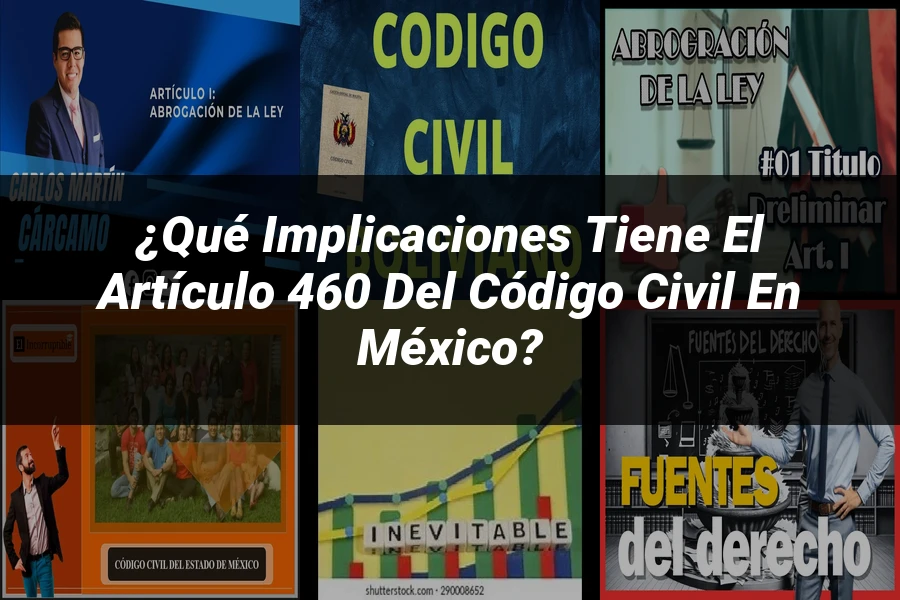"¿Qué Implicaciones Tiene el Artículo 460 del Código Civil en México?"