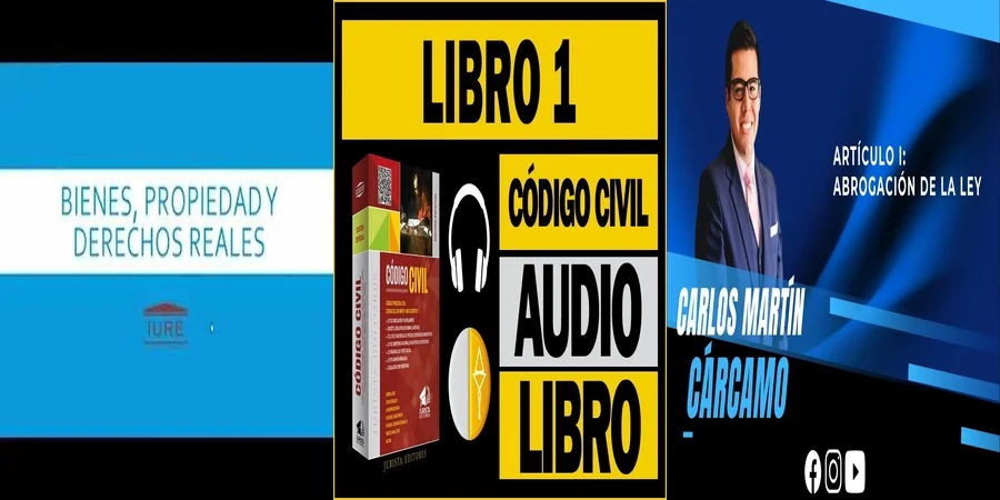 "¿Qué Implicaciones Tiene el Artículo 460 del Código Civil en México?"